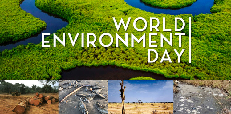 World Environment Day #ProtectTheGambia World Environment Day #ProtectTheGambia