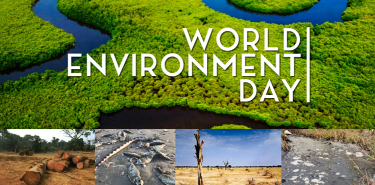 World Environment Day #ProtectTheGambia